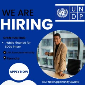 Remote US Public Finance for SDGs intern