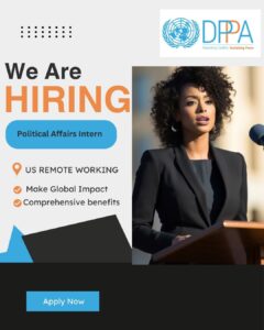Remote USA Political Affairs Intern