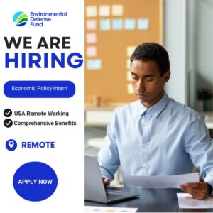 Remote Economic Policy Intern