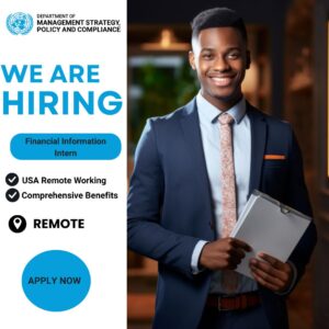 Remote Financial Information Intern
