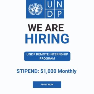 UNDP Geospatial Sciences Internship 2025