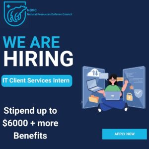 NDRC IT intern